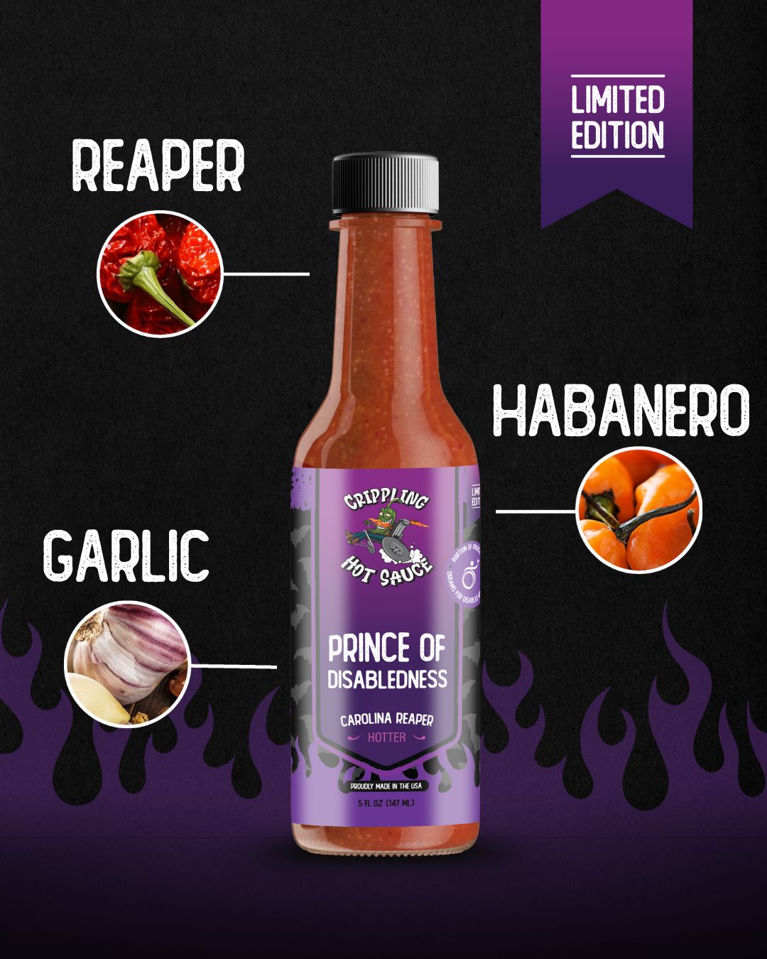 Prince of Disabledness (Hotter)